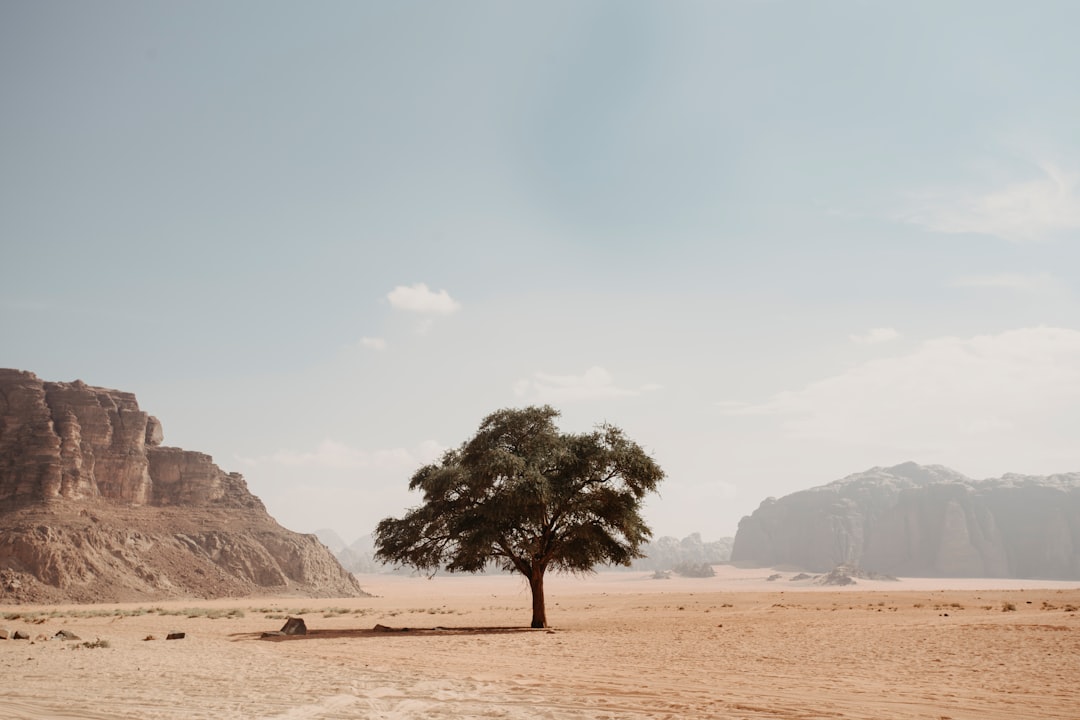 Paul Atreides: The Chosen One in Dune’s Epic Tale